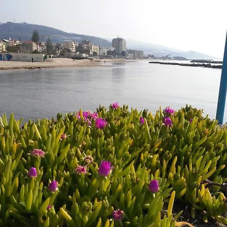 Appartement Casa Marina